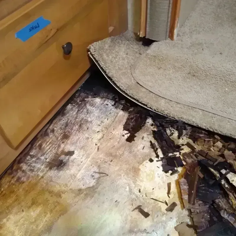 Wood Floor Water Damage in Winfield, MO